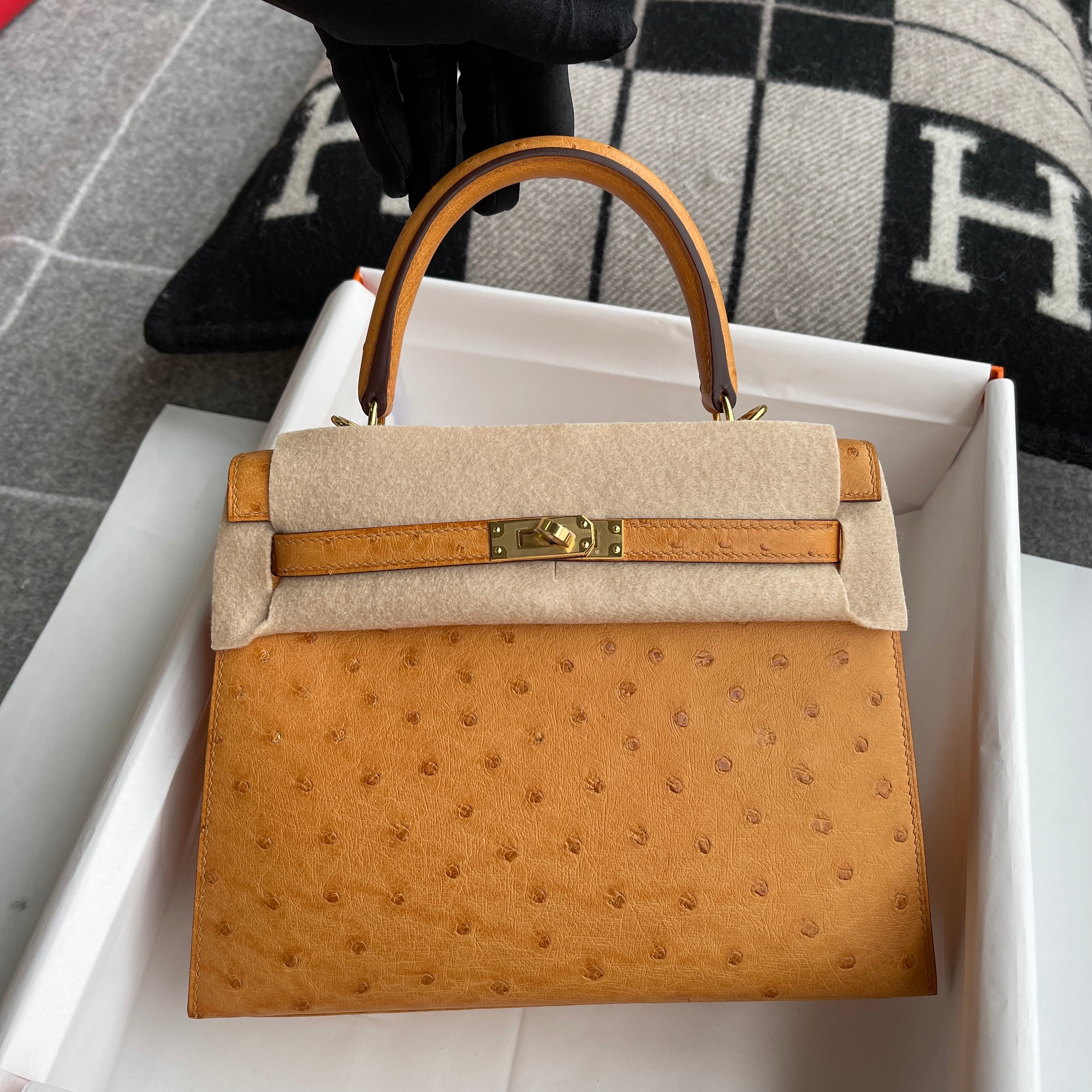 KELLY 25 OSTRICH LEATHER CHAI WITH GOLD HARDWARE (GHW)