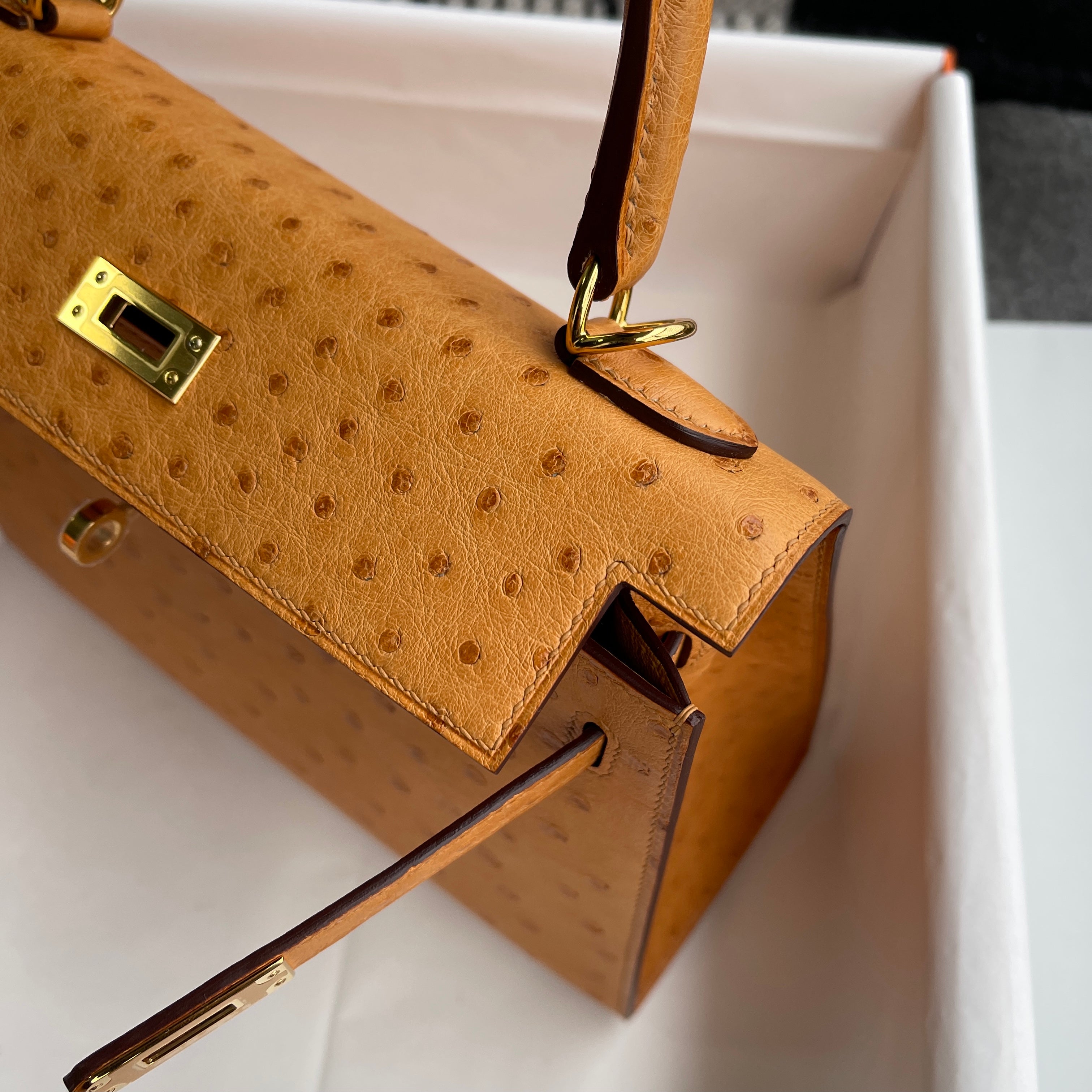 KELLY 25 OSTRICH LEATHER CHAI WITH GOLD HARDWARE (GHW)