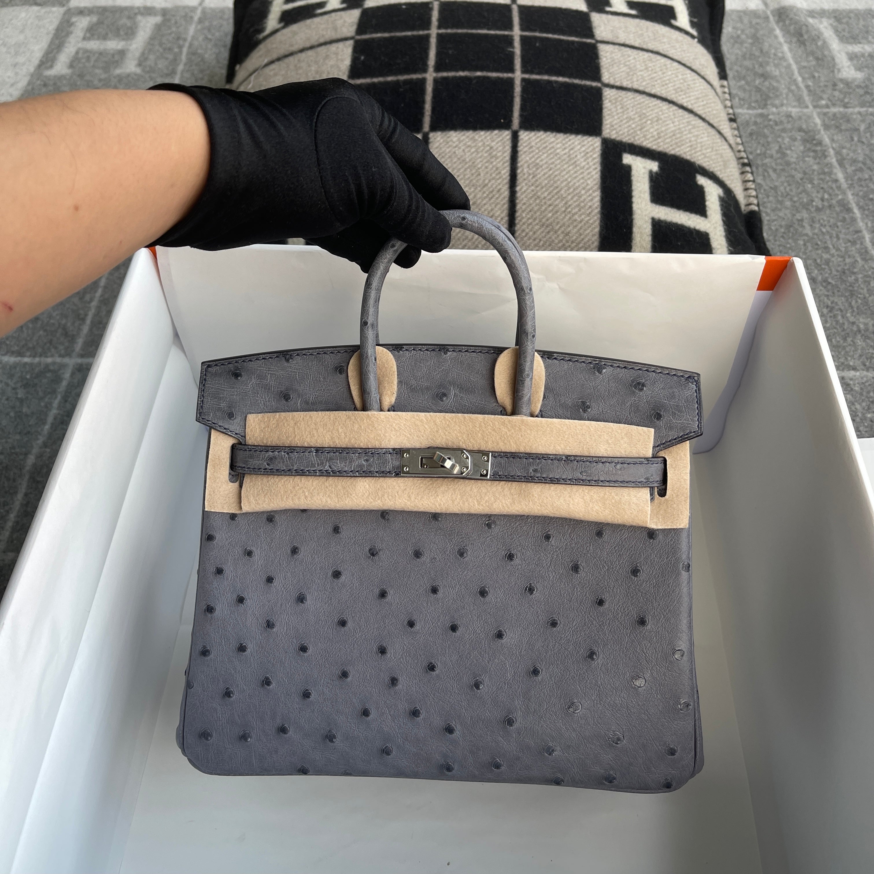 BIRKIN 25 OSTRICH LEATHER GRIS AGATE WITH PALLADIUM HARDWARE (PHW)