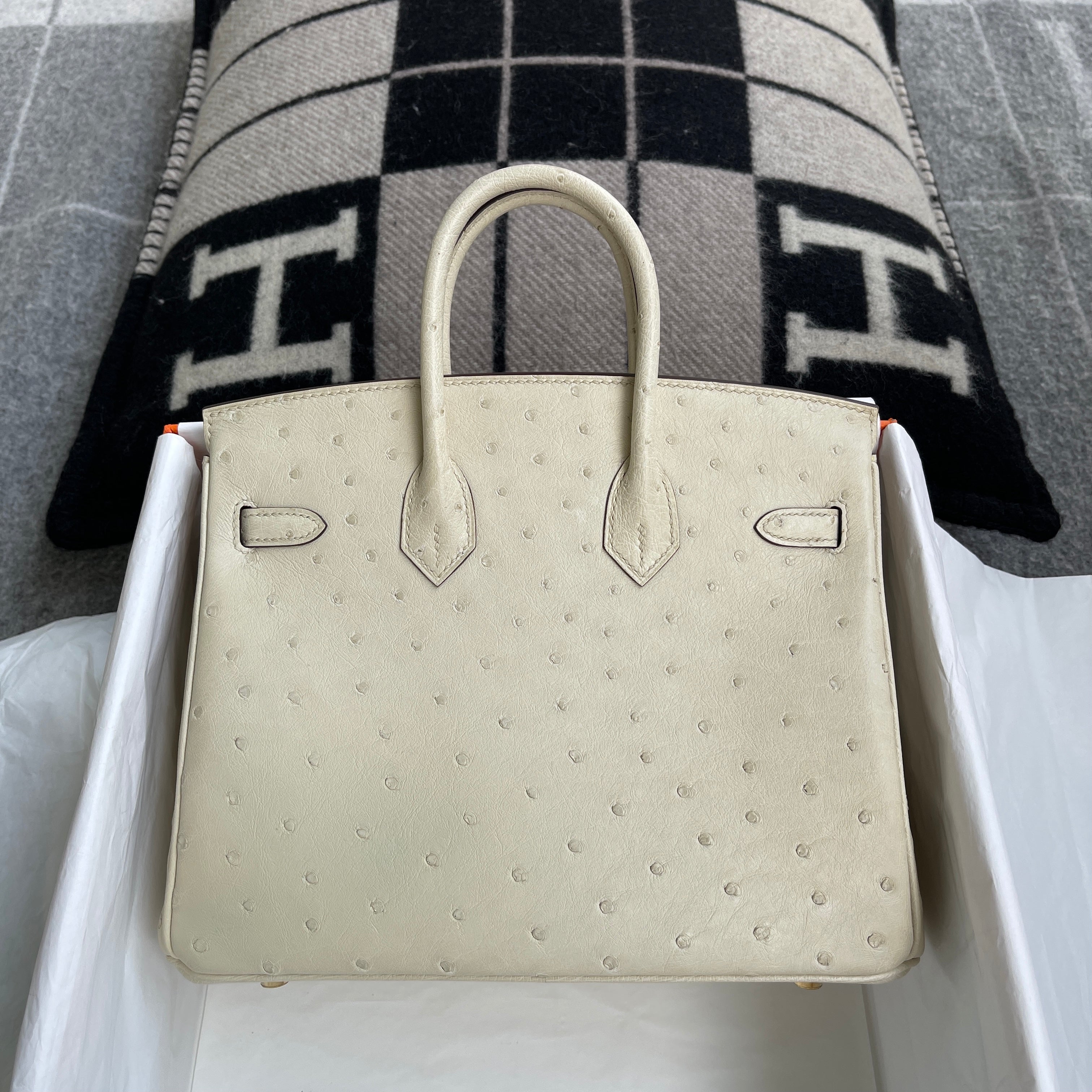 BIRKIN 25 OSTRICH LEATHER PARCHEMIN WITH GOLD HARDWARE (GHW)