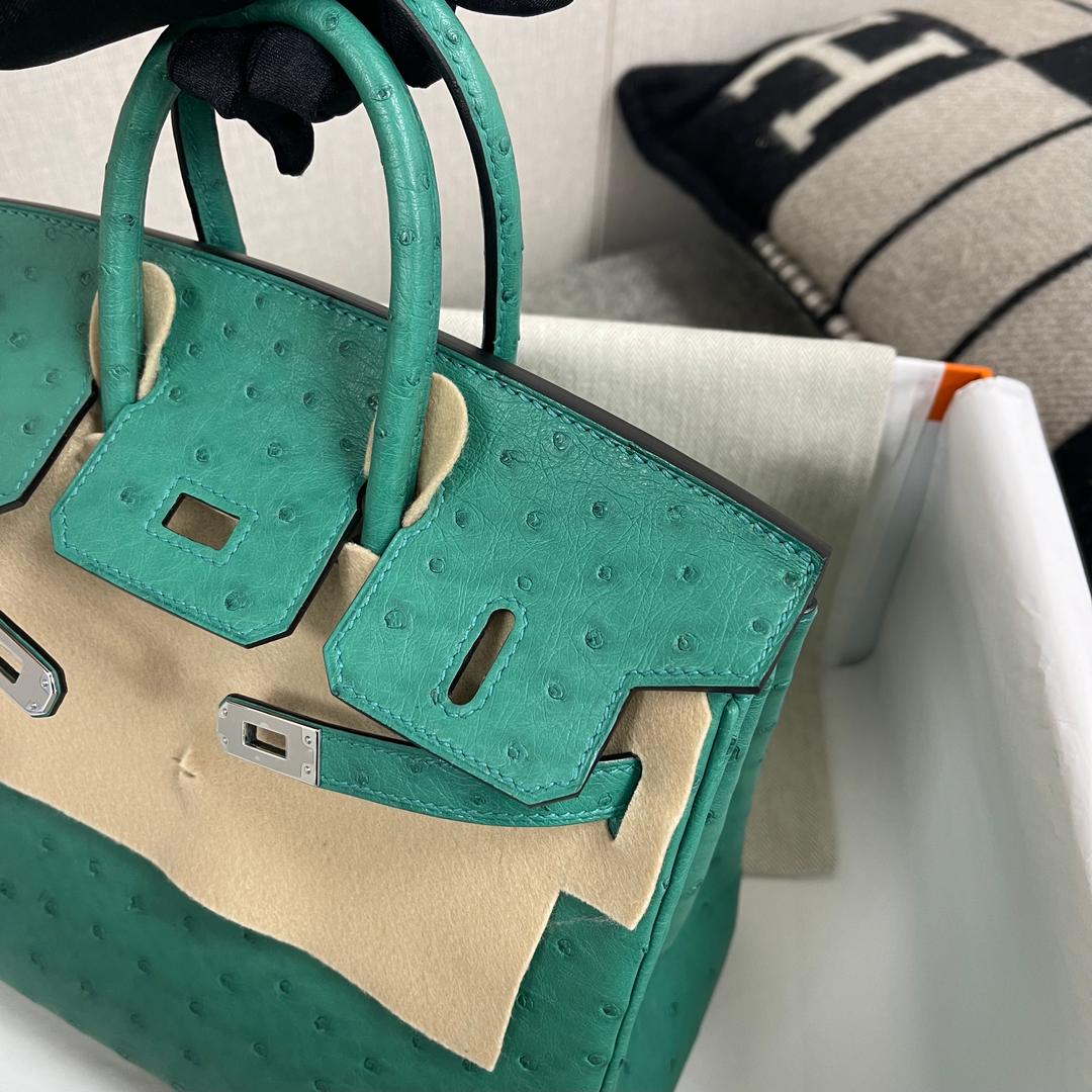 BIRKIN 25 OSTRICH LEATHER VERT VERTIGO WITH PALLADIUM HARDWARE (PHW)